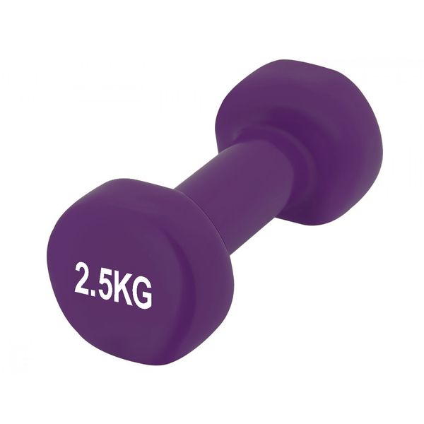 Гантель для фитнеса виниловая Power Play Achilles 2,5 кг PP_4125_2.5kg фото