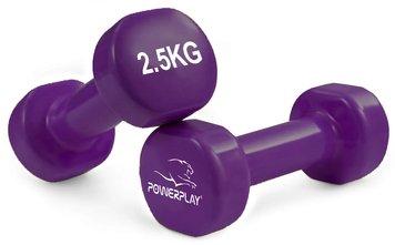 Гантели для фитнеса виниловые Power Play Achilles по 2,5 кг (2шт*2,5кг) PP_4125_2.5kg_2in фото