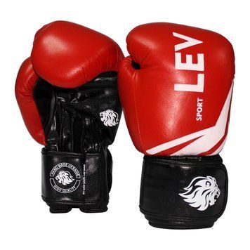 Перчатки для бокса Lev Sport Комби синие LV-4221-R(10) фото