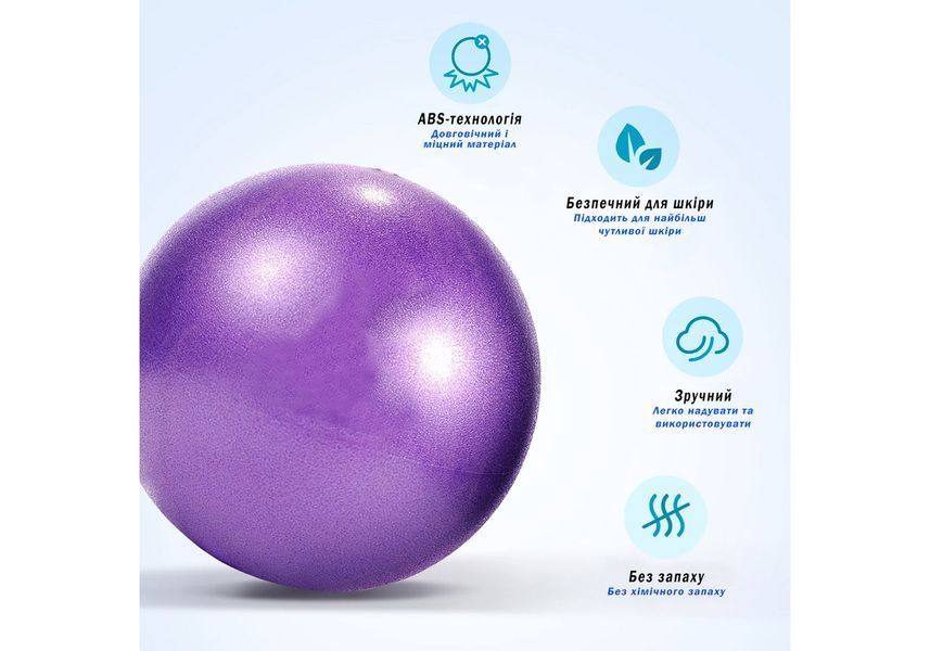 Мяч для пилатеса 25 см EasyFit фиолетовый EF-1221 фото