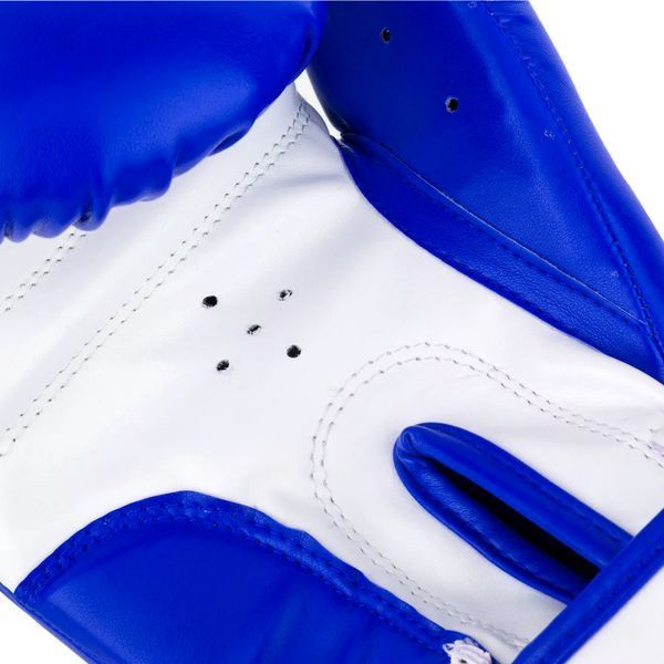 Рукавички боксерські Power Play 3004 cиньо-білі PP_3004JR_6oz_Blue/White фото