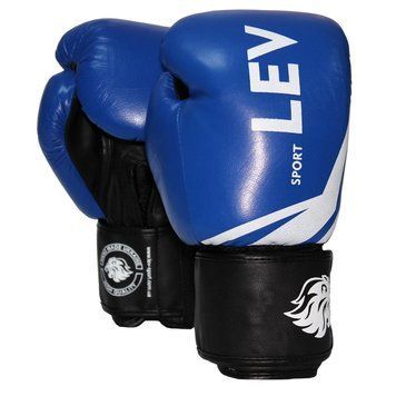 Перчатки для бокса Lev Sport Комби синие LV-4221-BL(10) фото
