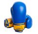 Перчатки боксерские Power Play 3004 cине-желтые PP_3004JR_6oz_Blue/Yellow фото 1