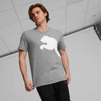 Футболка чоловіча Puma Essentials Logo Tee 678784 03 grey 678784_03 фото